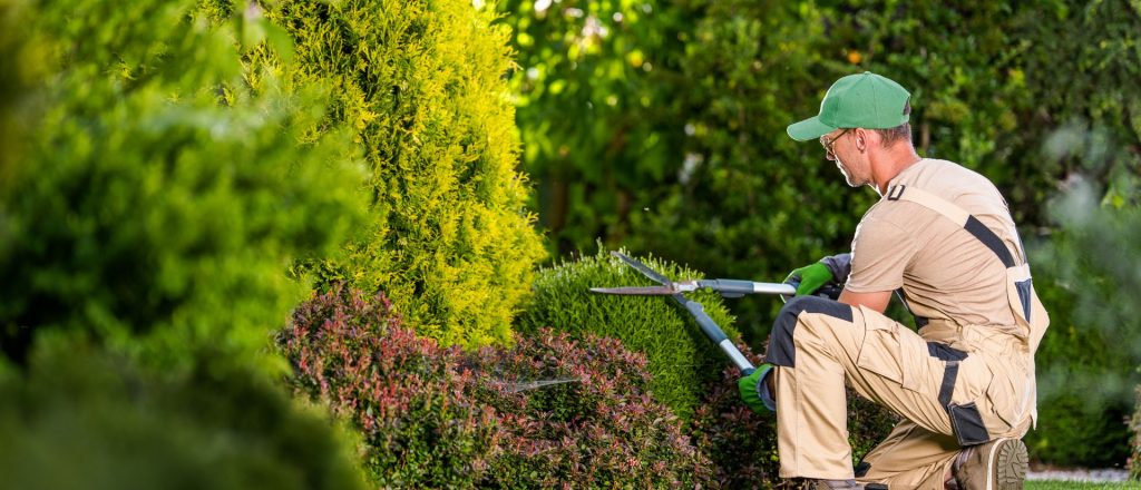 Gartenpflege Firma Wien